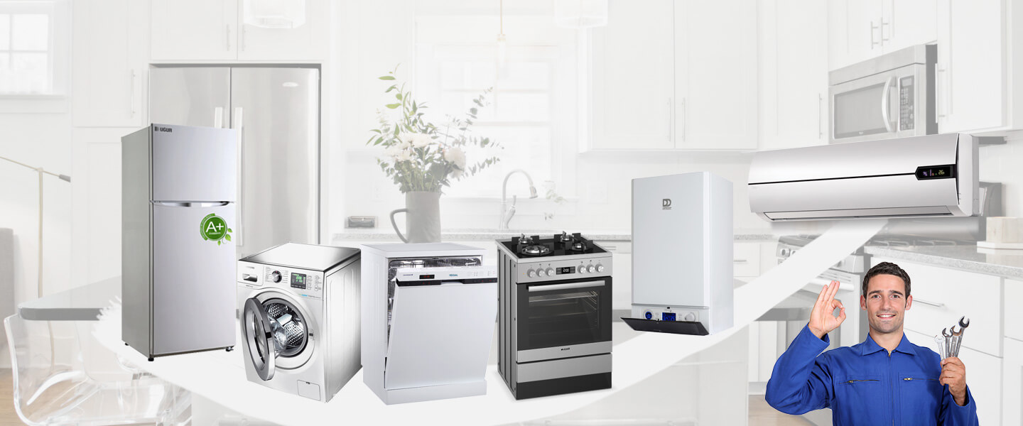 Han Electrolux Servisi